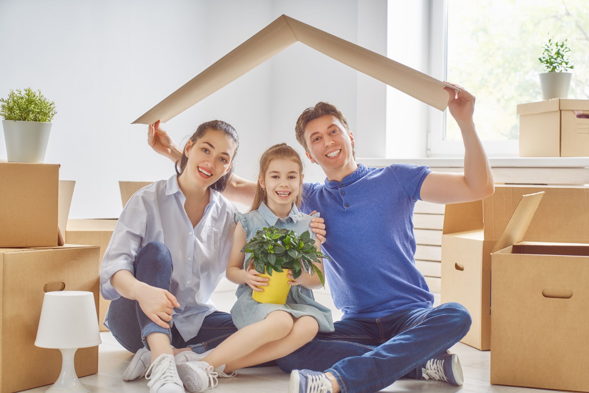 Servicios al Comprador. John Lawrence Oliver en Llubí